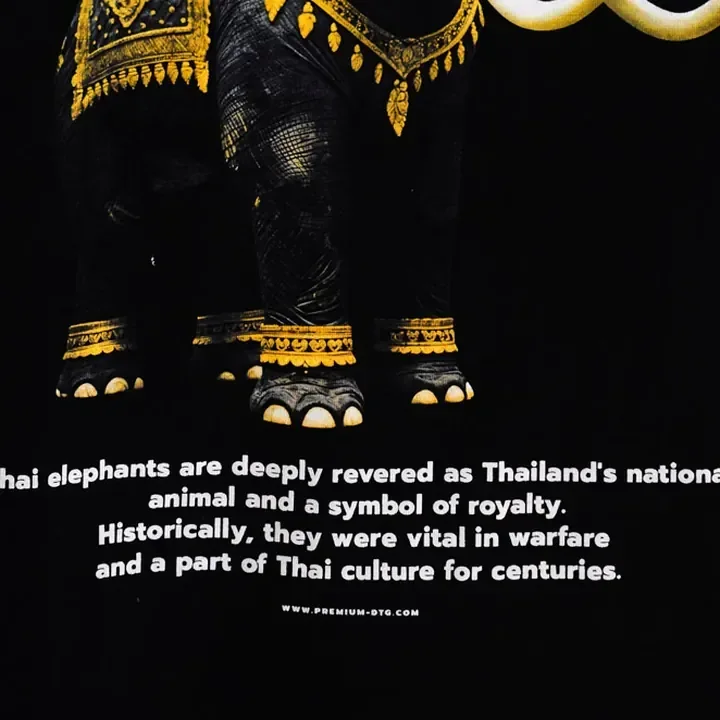 ตัวอย่างรายละเอียดงานสกรีน DTG บนเสื้อสีดำจาก Cottonique DTG
